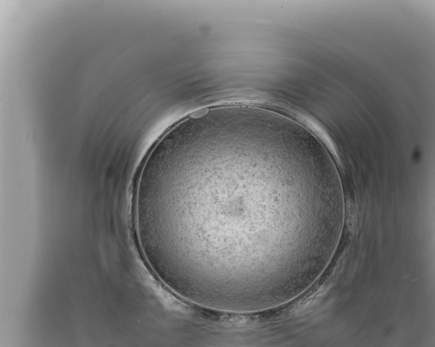 X0000089361099200706221155