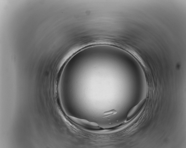 X0000089361101200706221155
