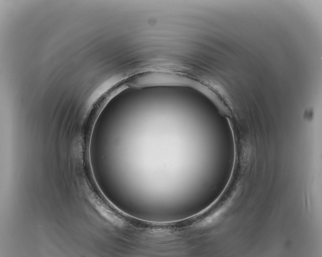 X0000089361114200706221154