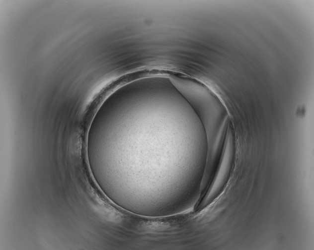 X0000089361115200706221154