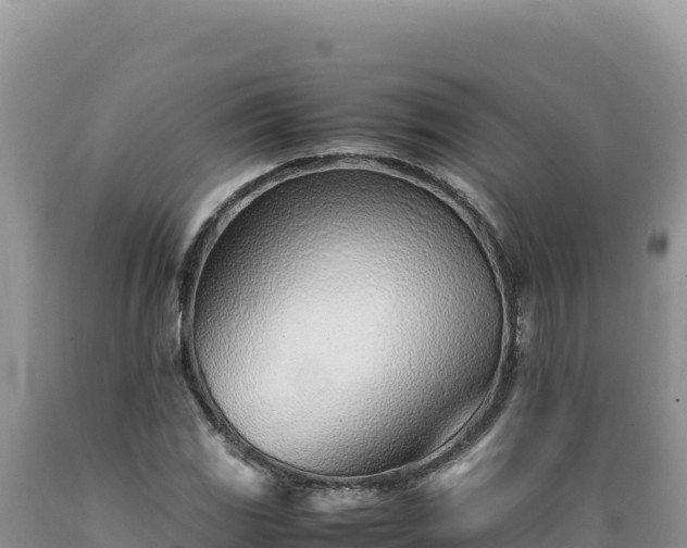 X0000089361117200706221154