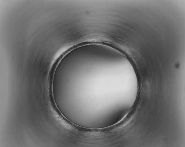 X0000089361122200706221154
