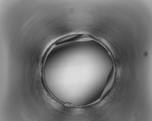 X0000089361124200706221154