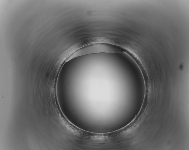 X0000089361137200706221154