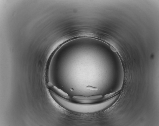 X0000089361139200706221154