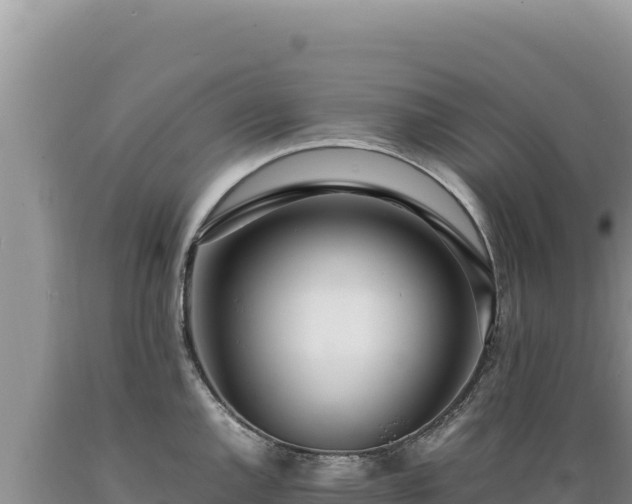 X0000089361144200706221154