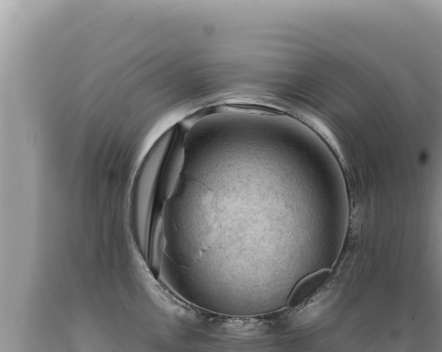 X0000089361146200706221154