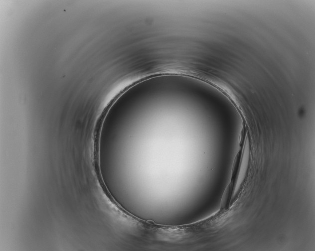 X0000089361147200706221154