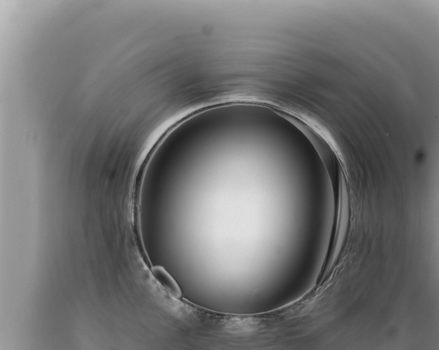 X0000089361148200706221154