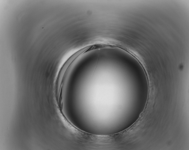 X0000089361152200706221154