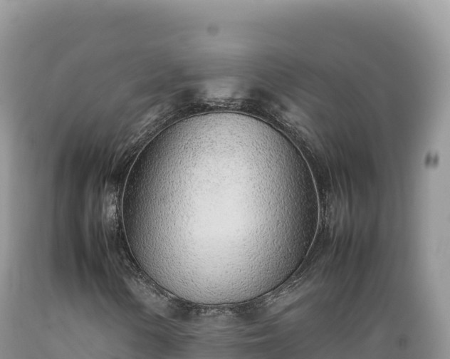 X0000089361154200706221154