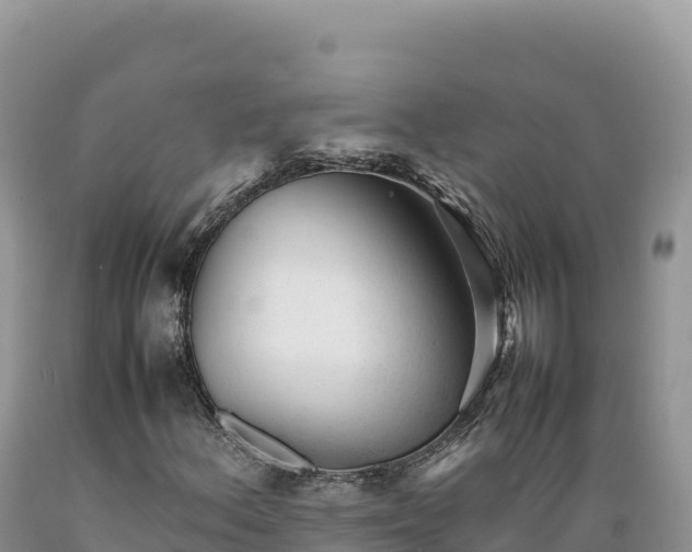 X0000089361156200706221154