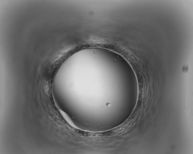 X0000089361157200706221154