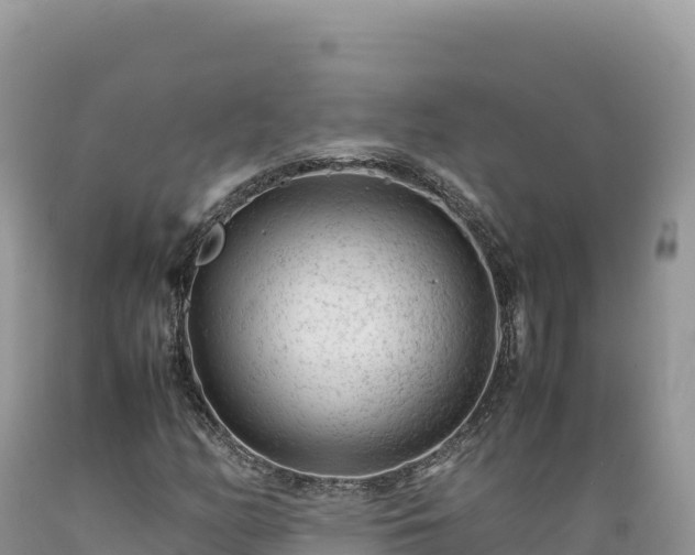 X0000089361158200706221154