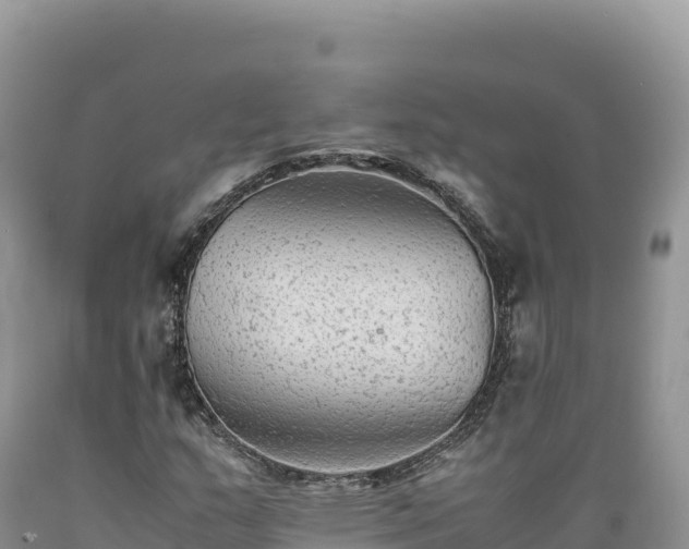 X0000089361159200706221154