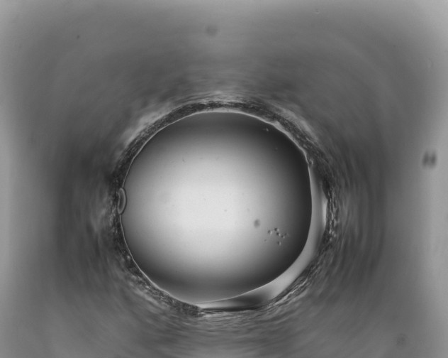 X0000089361160200706221154