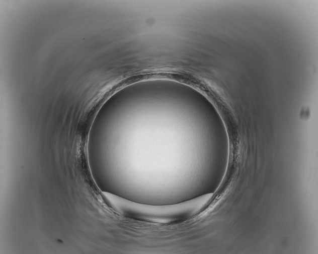 X0000089361161200706221154