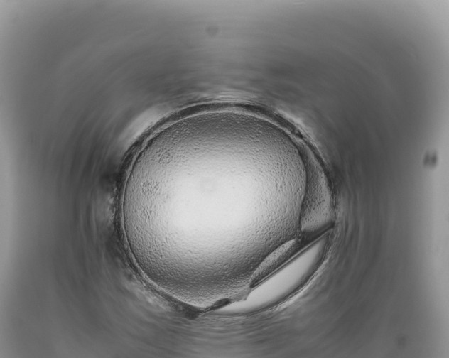 X0000089361163200706221154