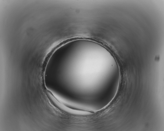 X0000089361168200706221154