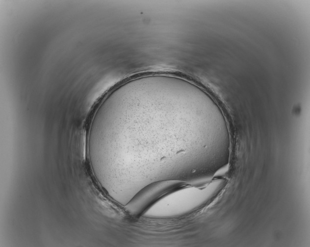 X0000089361171200706221154
