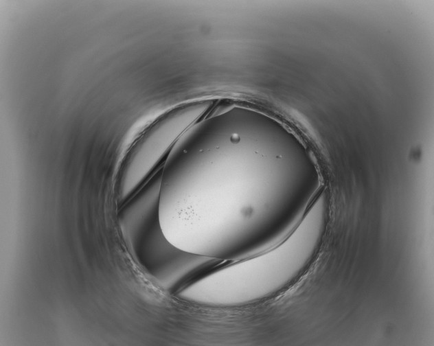 X0000089361172200706221153