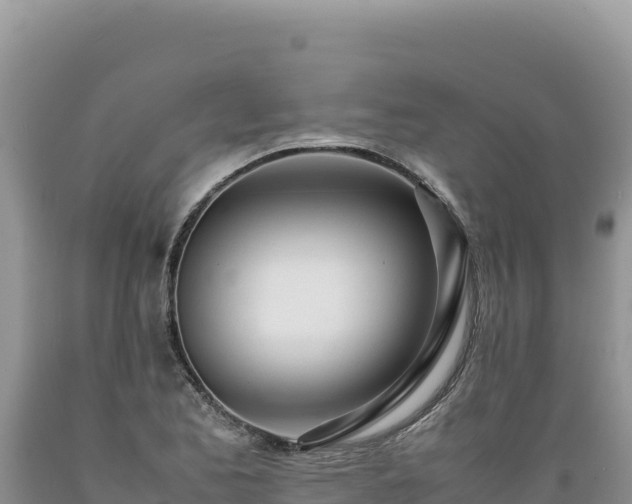 X0000089361173200706221153