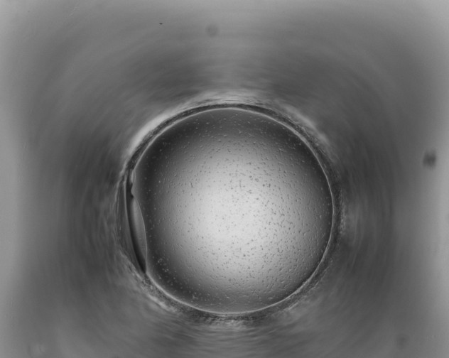 X0000089361174200706221153