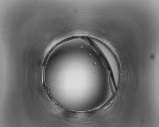 X0000089361175200706221153