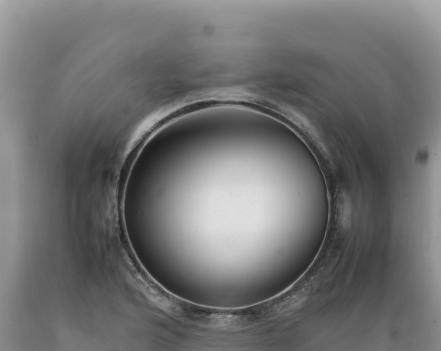 X0000089361176200706221153