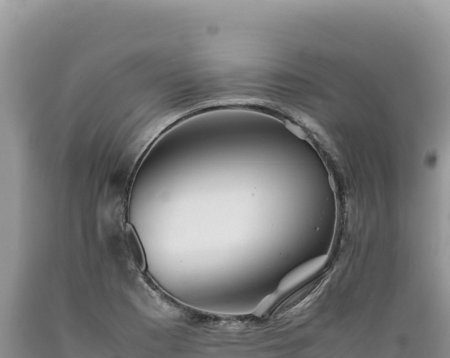 X0000089361177200706221153