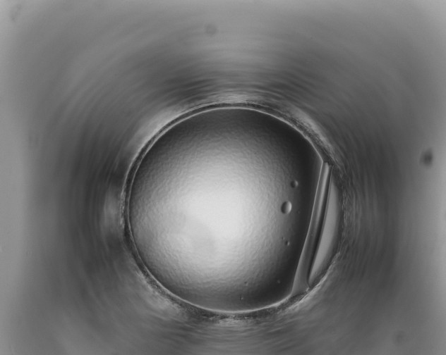 X0000089361178200706221153