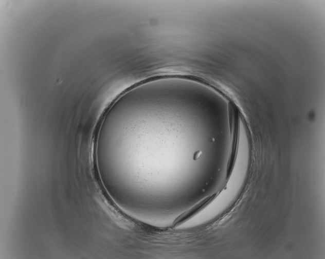 X0000089361179200706221153
