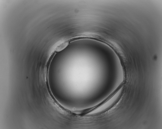 X0000089361180200706221153