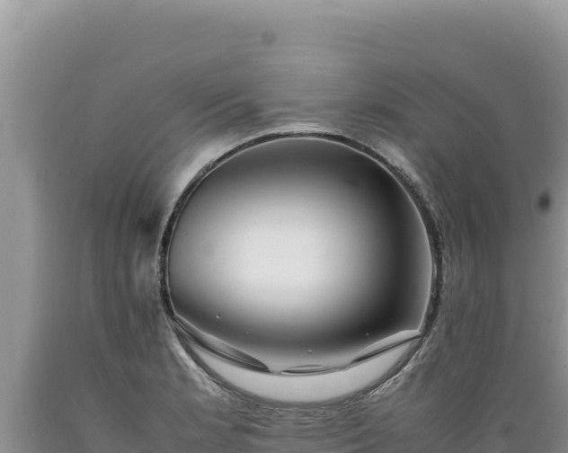 X0000089361181200706221153