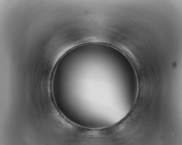 X0000089361182200706221153