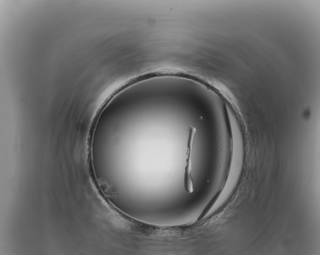 X0000089361183200706221153
