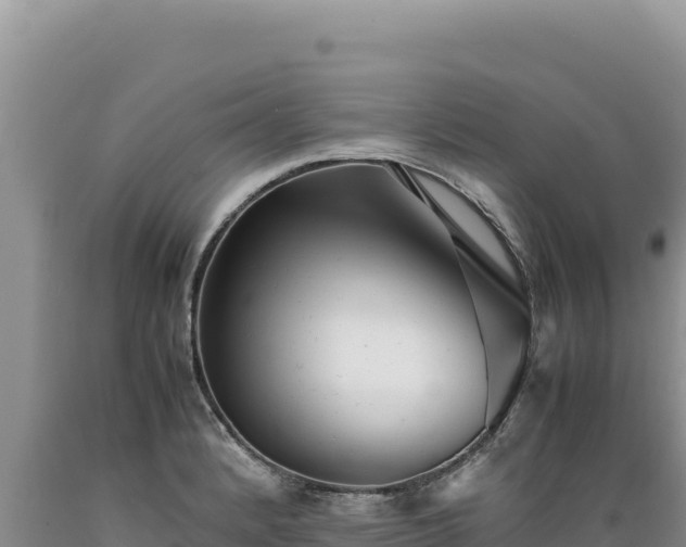 X0000089361184200706221153