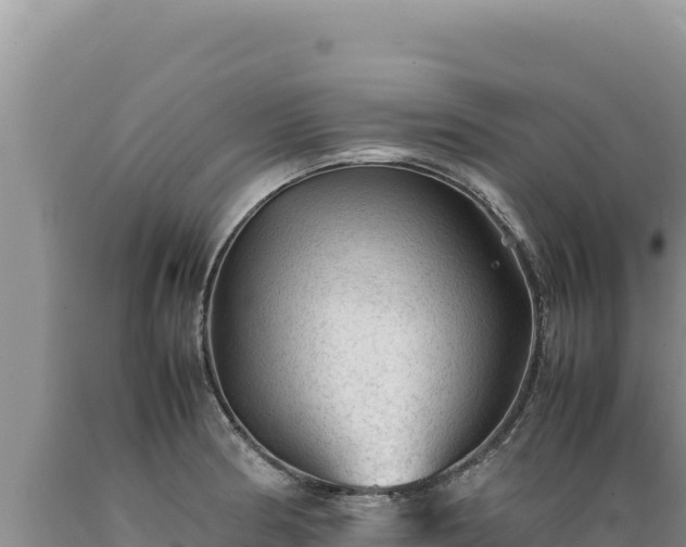X0000089361186200706221153