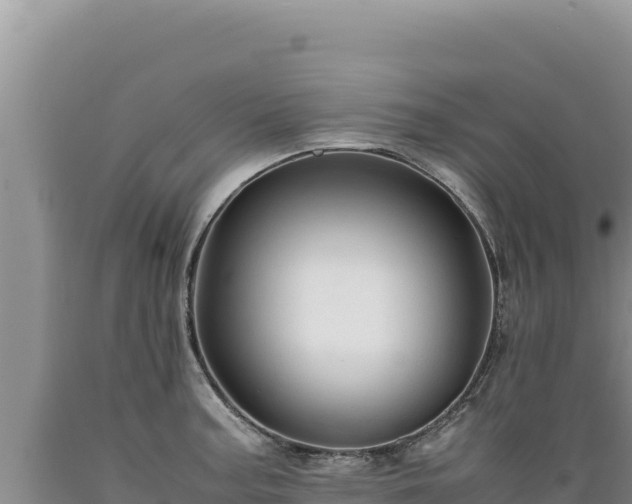 X0000089361187200706221153
