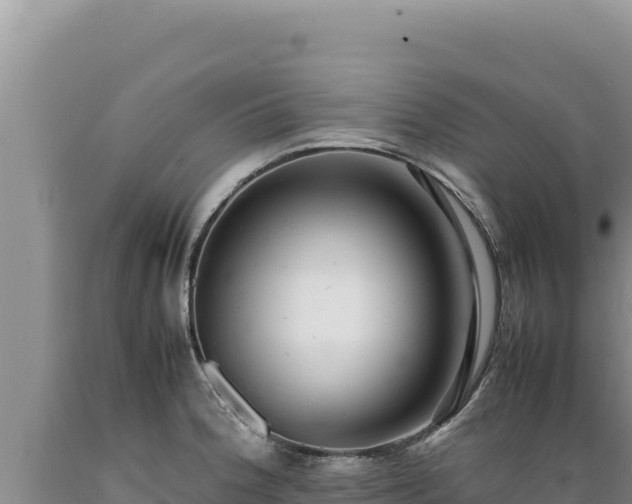 X0000089361188200706221153