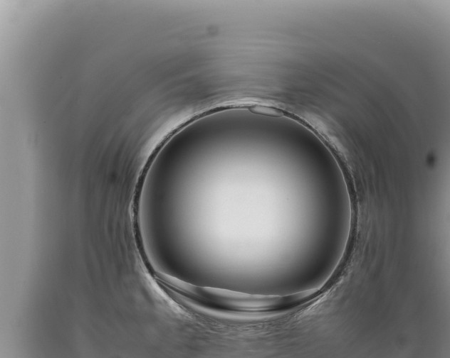 X0000089361189200706221153