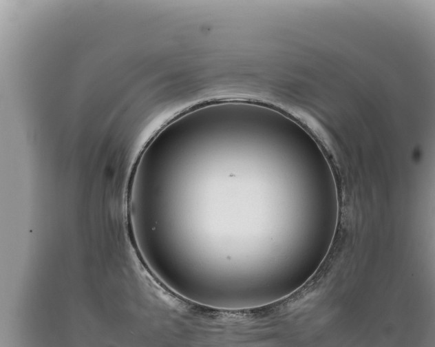 X0000089361191200706221153