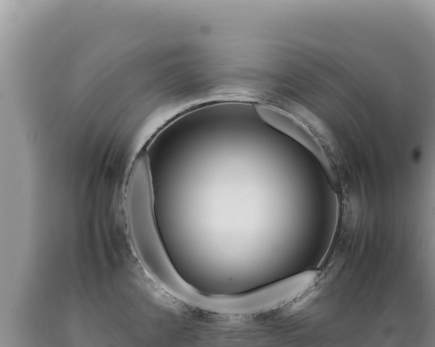 X0000089361192200706221153