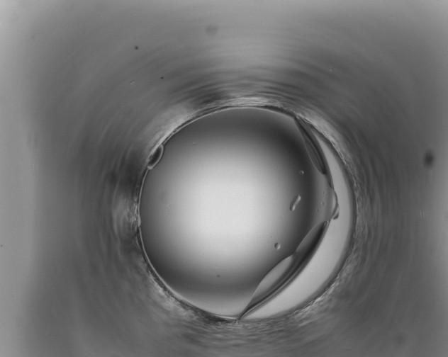 X0000089361193200706221153
