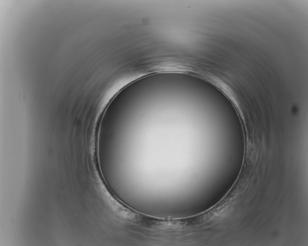 X0000089361195200706221153