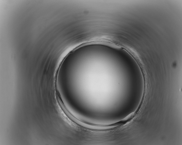 X0000089361200200706221153