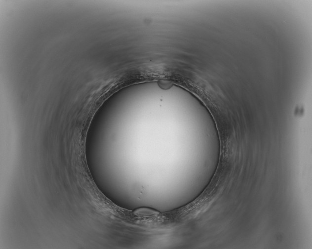 X0000089361201200706221153