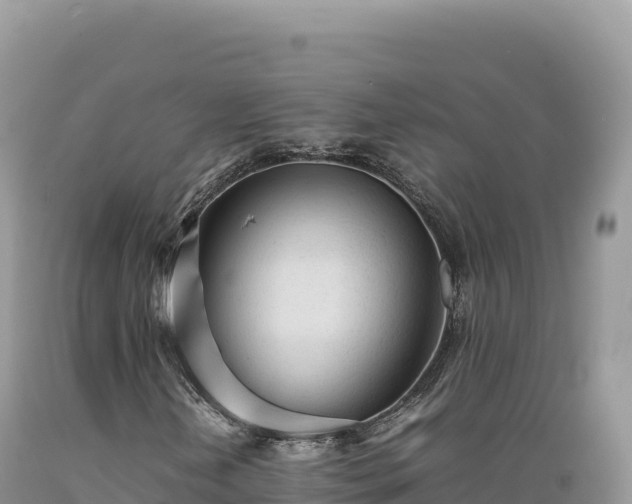 X0000089361202200706221153