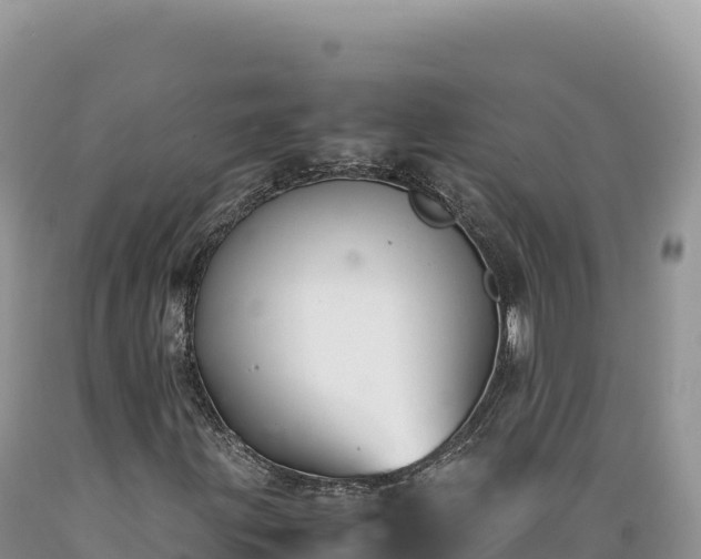 X0000089361203200706221153