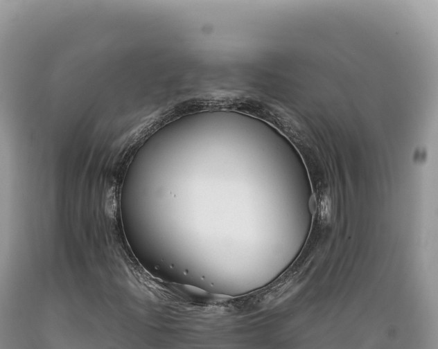 X0000089361204200706221153